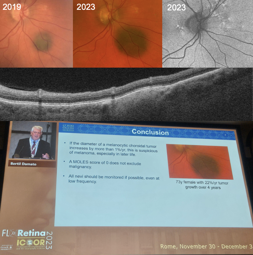 Immagine che contiene testo, schermata, fiore, modello Descrizione generata automaticamente